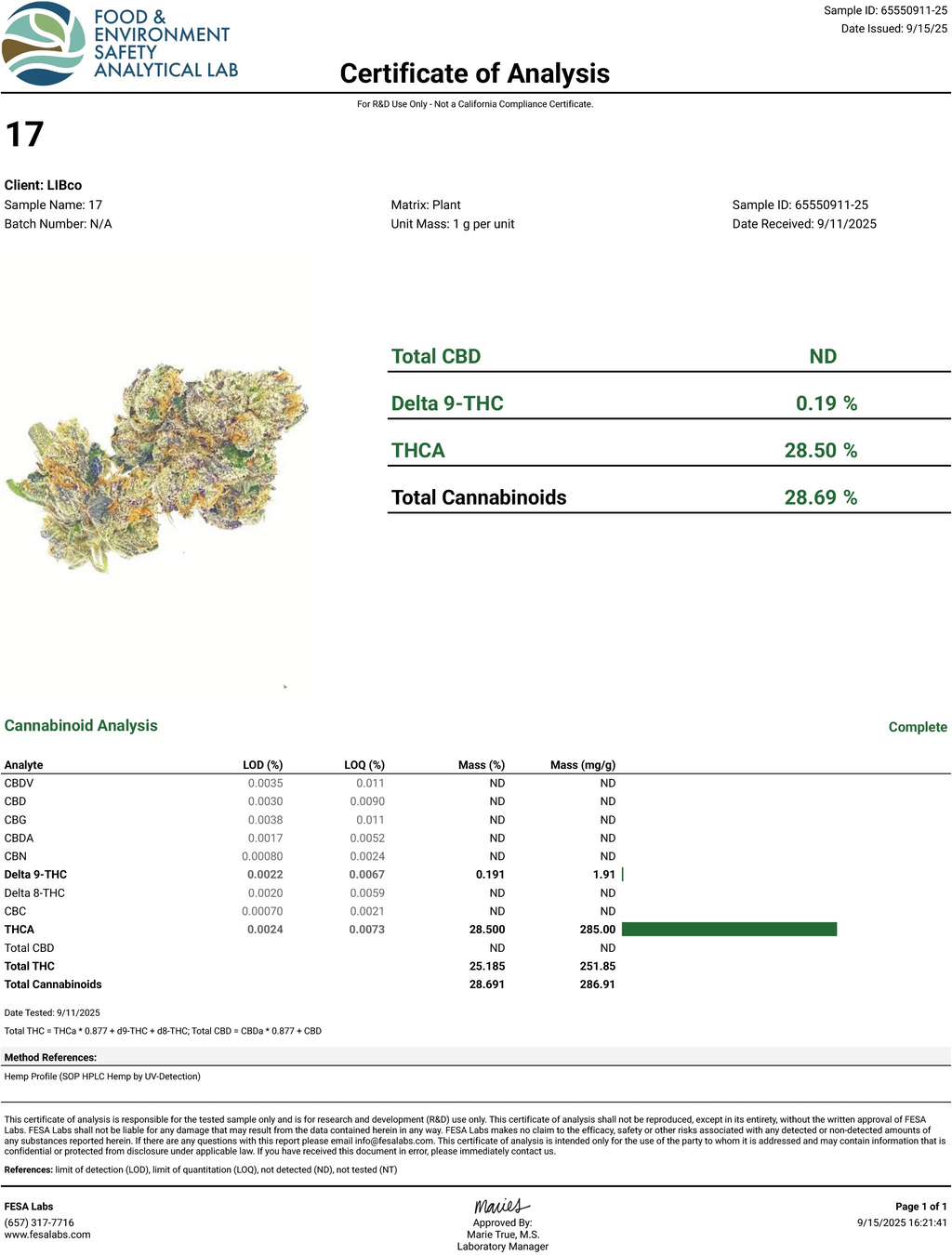 #17 RUNTZ (Hybrid) | THCA Hemp Flower