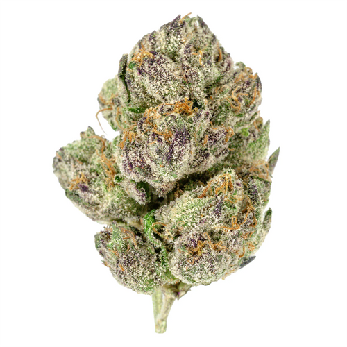 #16 RUNTZ X LCG (Hybrid) | THCA Hemp Flower