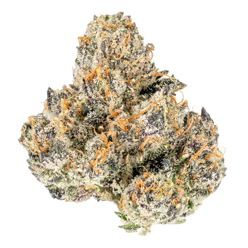 #17 RUNTZ (Hybrid) | THCA Hemp Flower